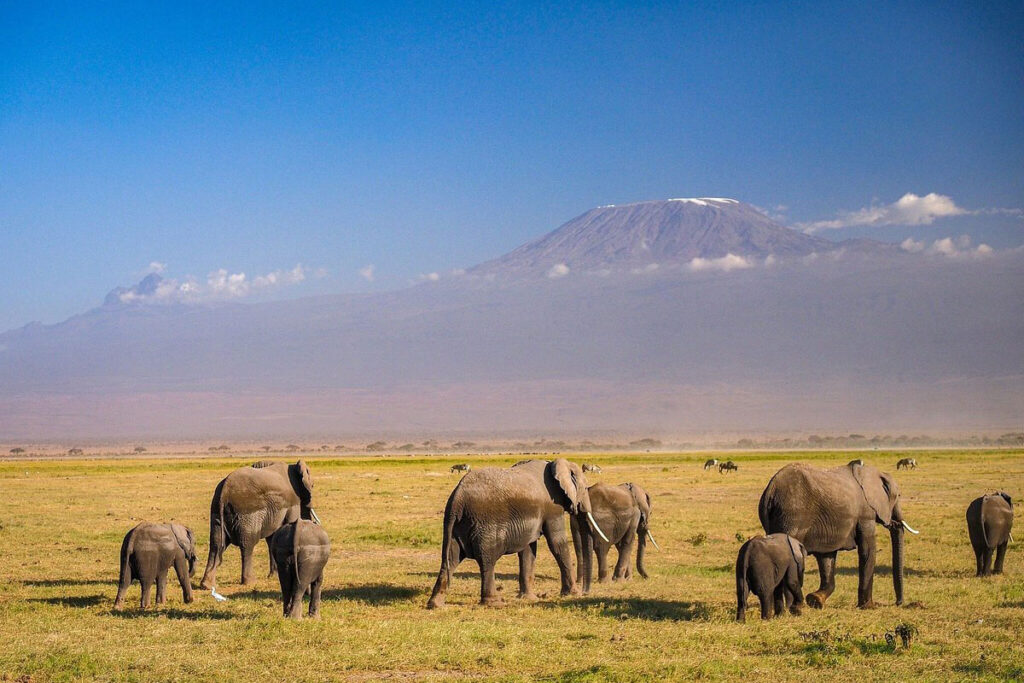 Amboseli National Park