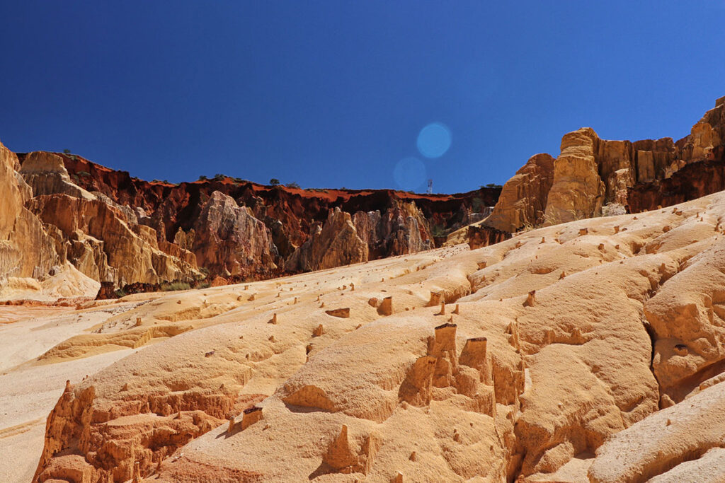 Ankarafantsika National Park