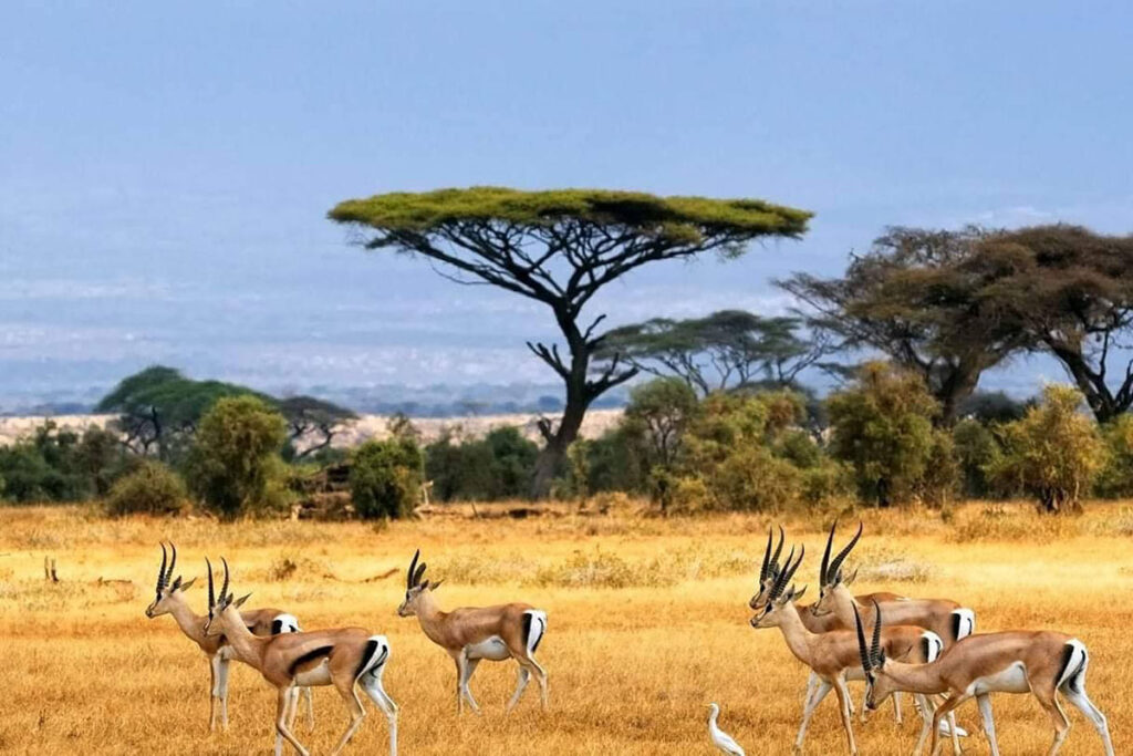 Bandingilo National Park