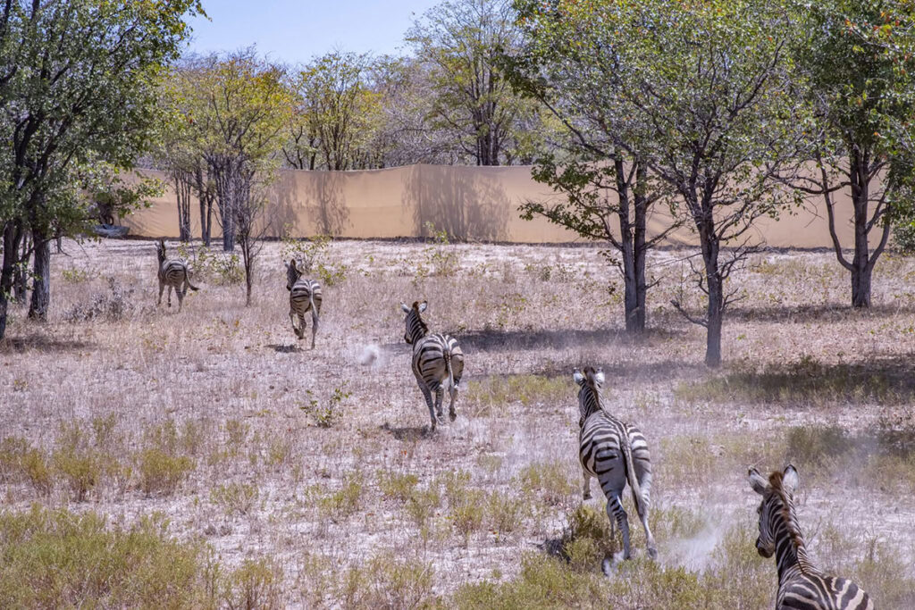 Banhine National Park