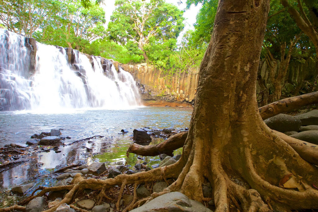 Black River Gorges National Park