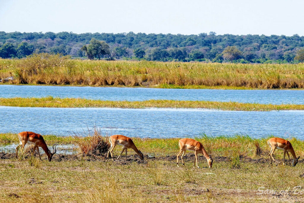 Bwabwata National Park