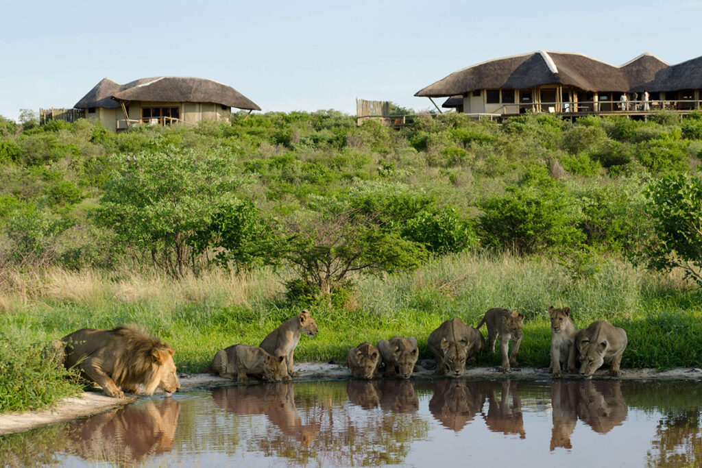 Central Kalahari Game Reserve