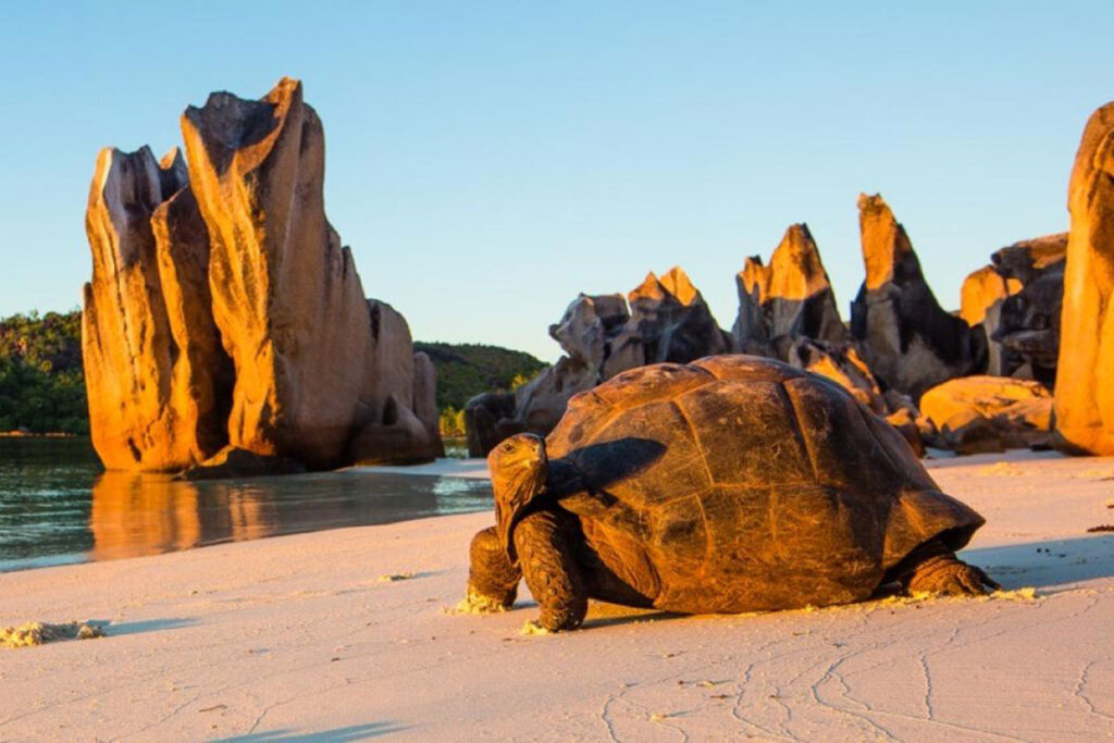 Curieuse Marine National Park