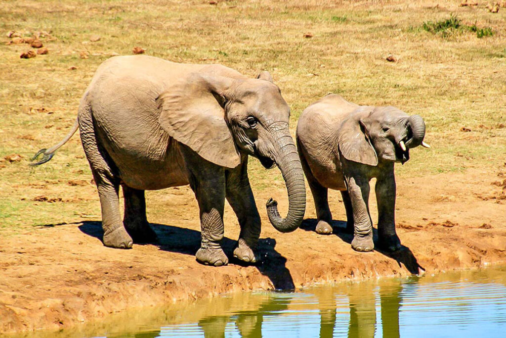 Deux Balés National Park