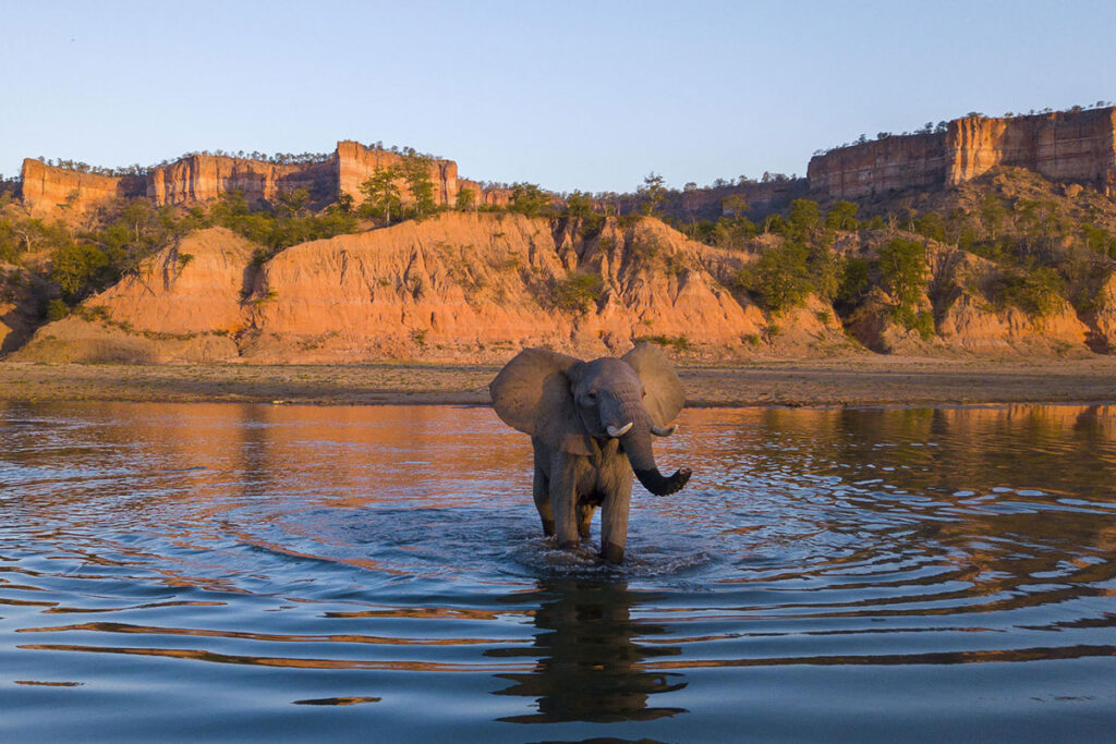 Gonarezhou National Park