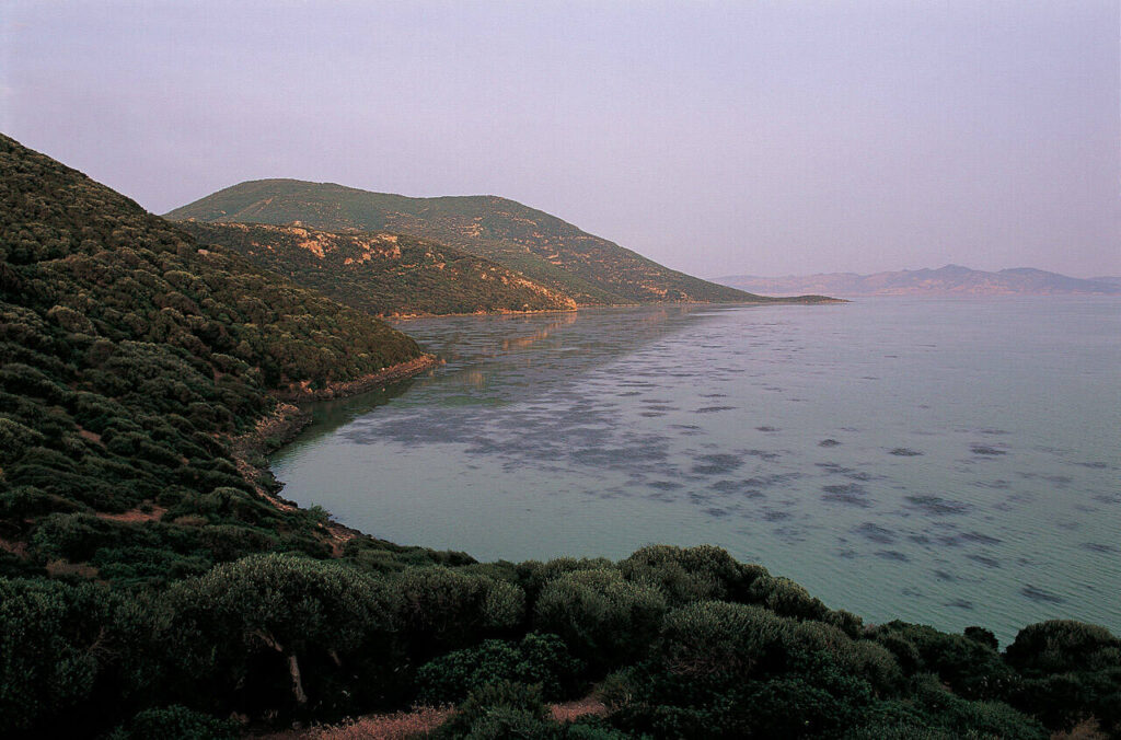 Ichkeul National Park