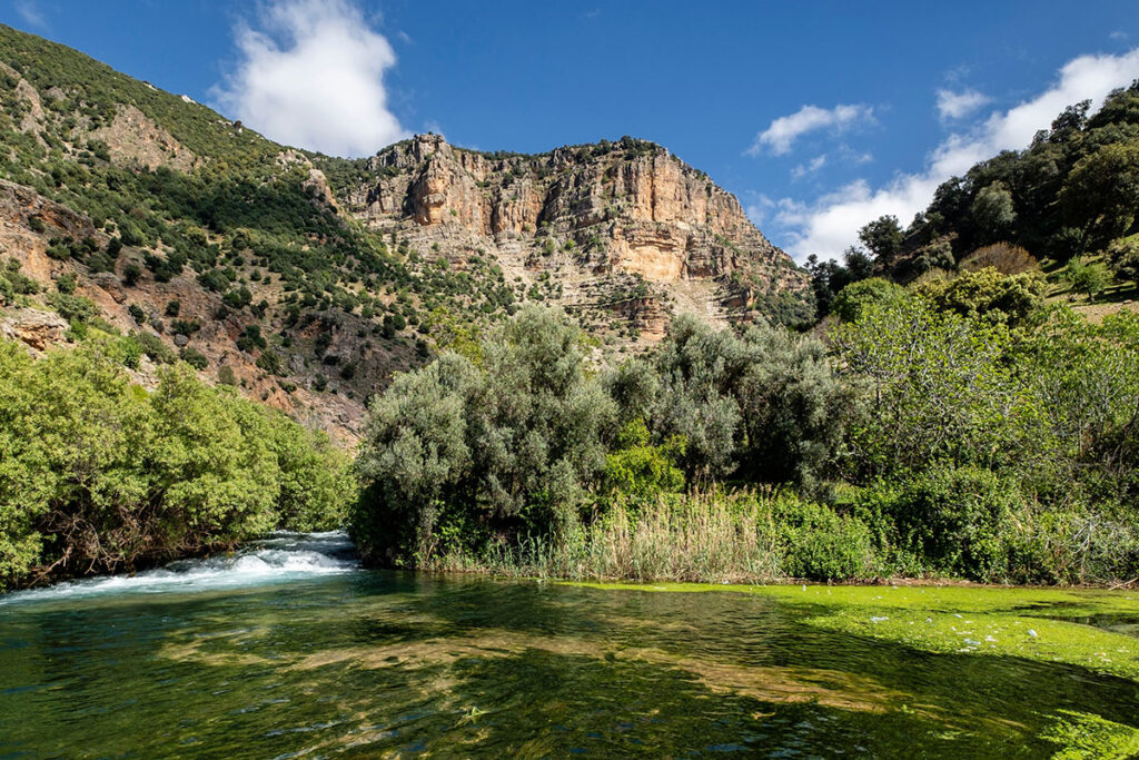 Ifrane National Park