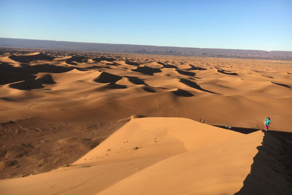 Iriqui National Park