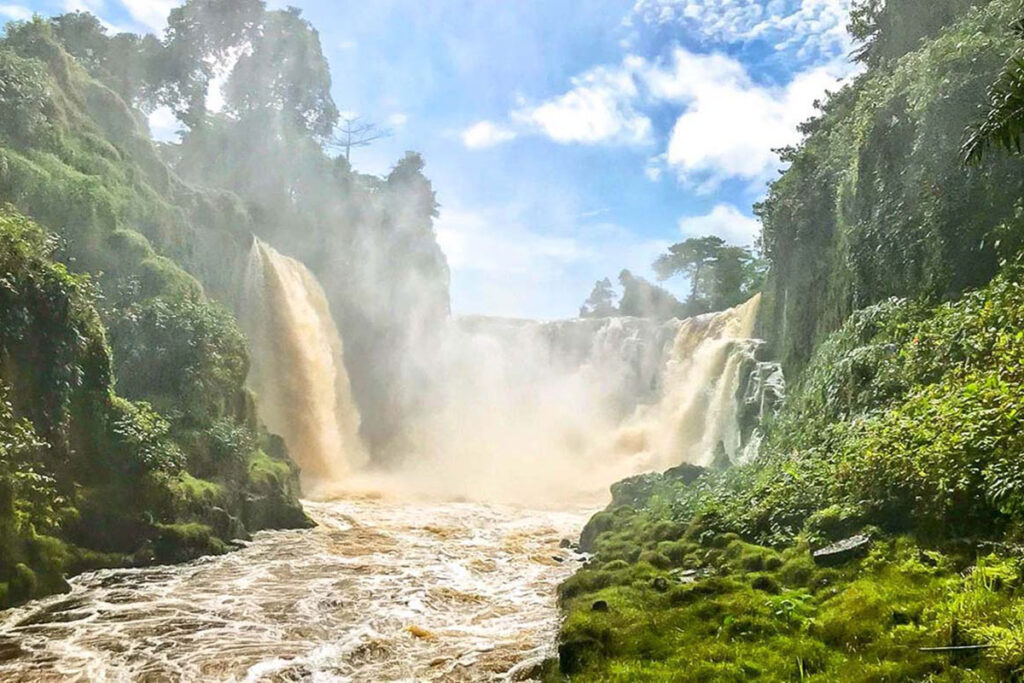 Ivindo National Park