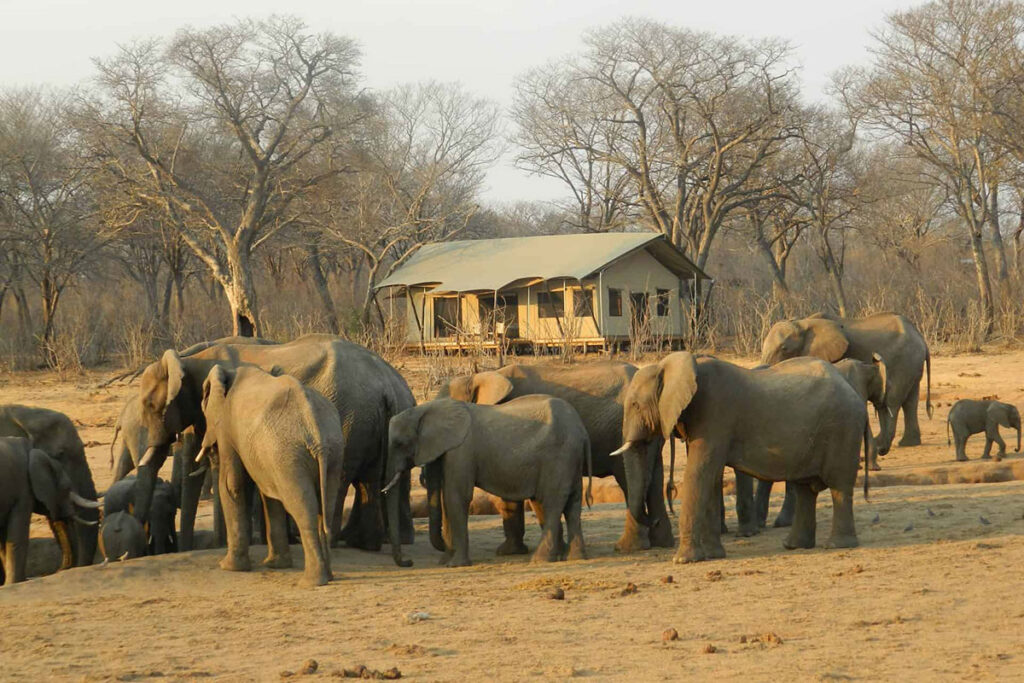 Kavango–Zambezi Transfrontier Conservation Area