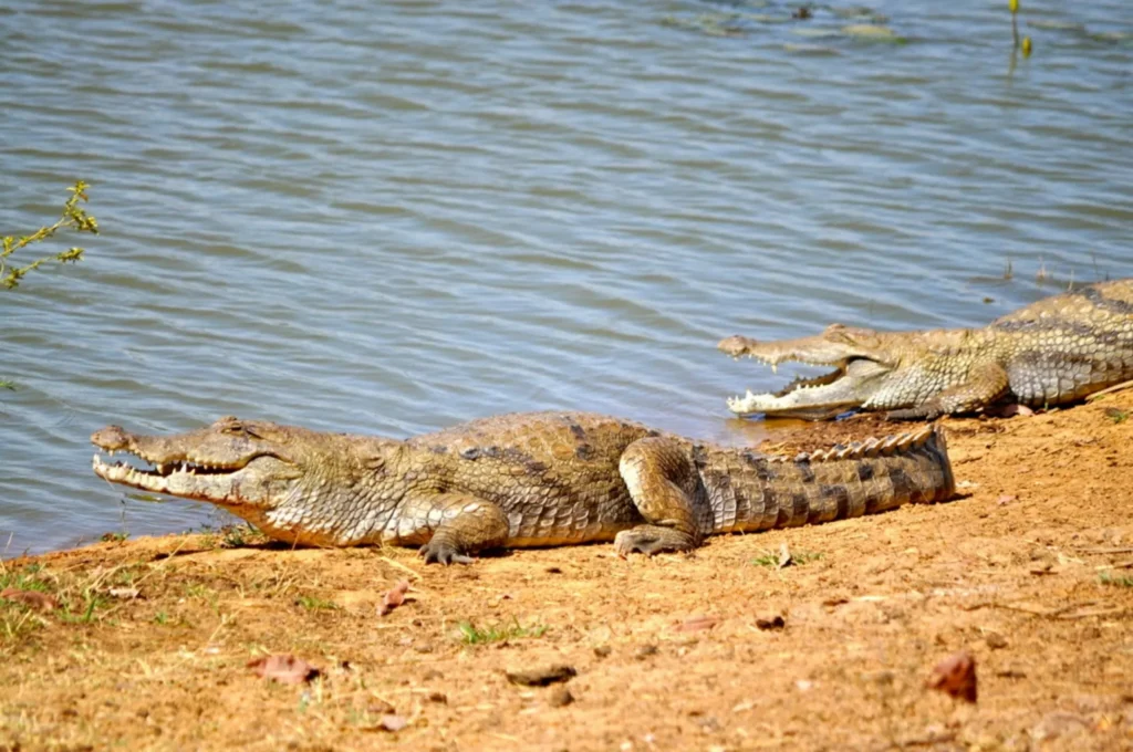 Kéran National Park