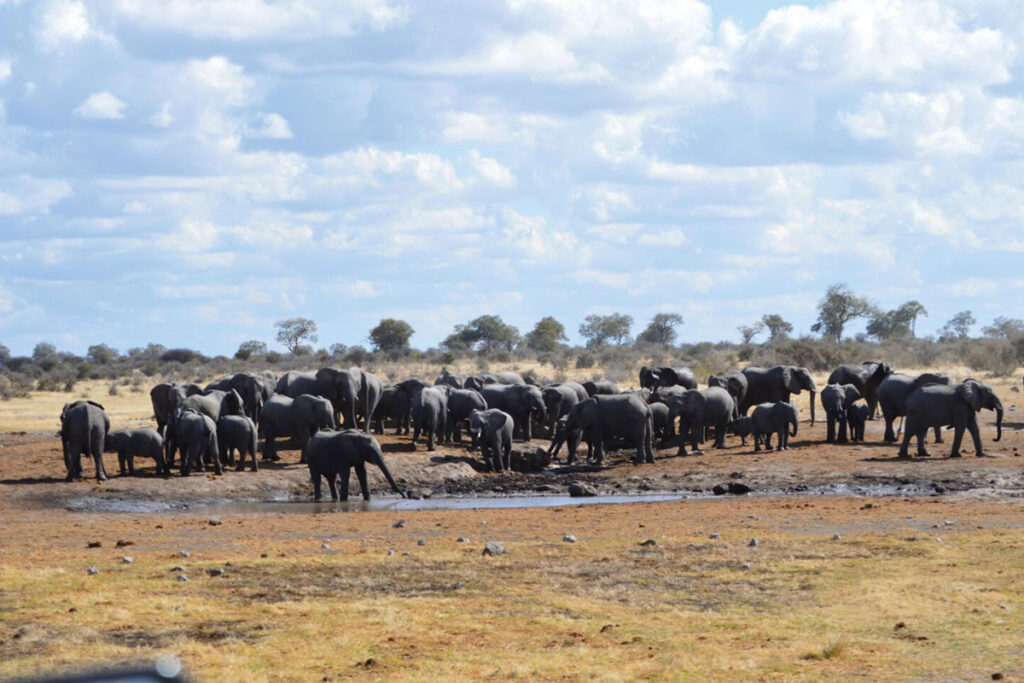 Khaudum National Park
