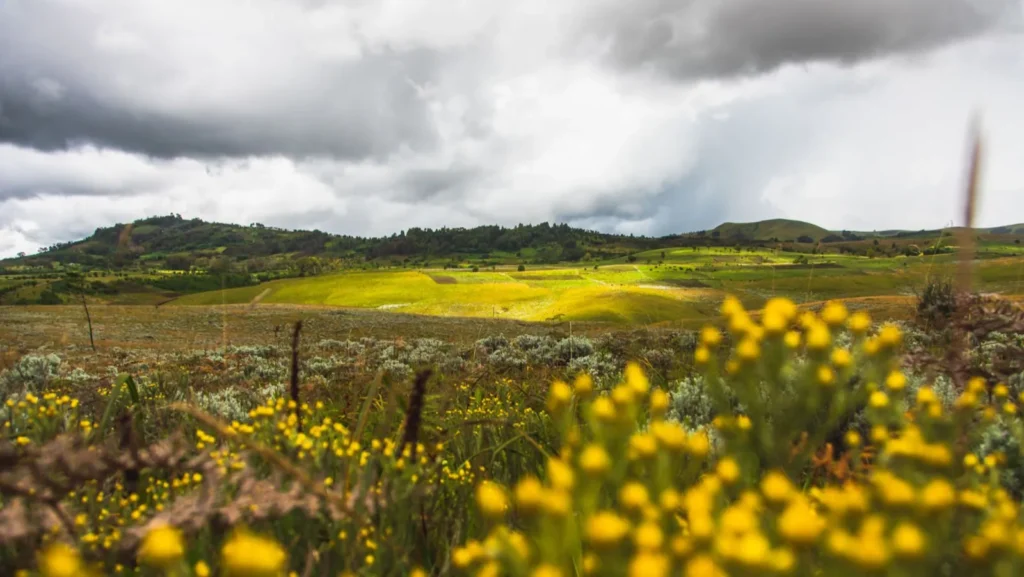 Kitulo National Park