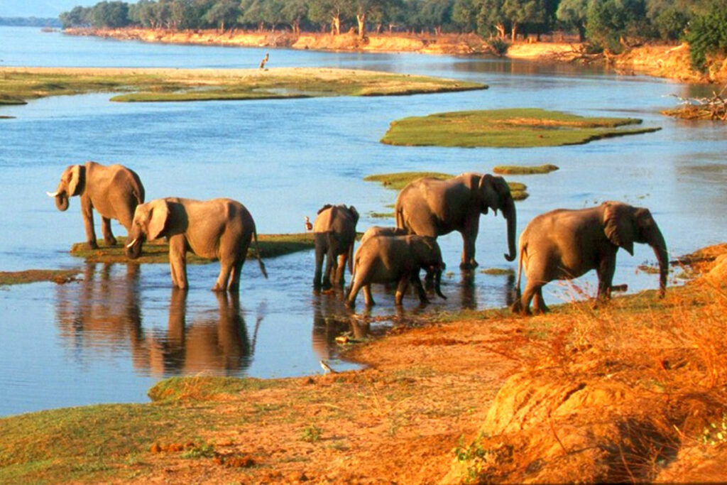Mana Pools National Park