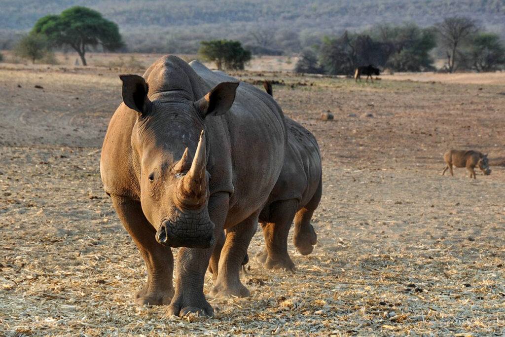 Mangetti National Park