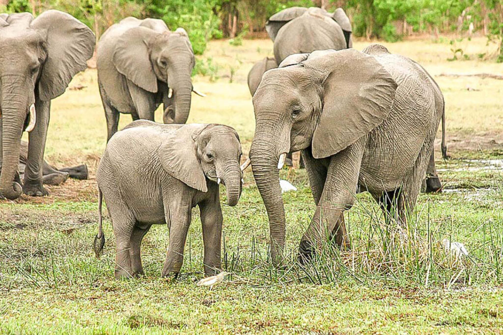 Marahoué National Park