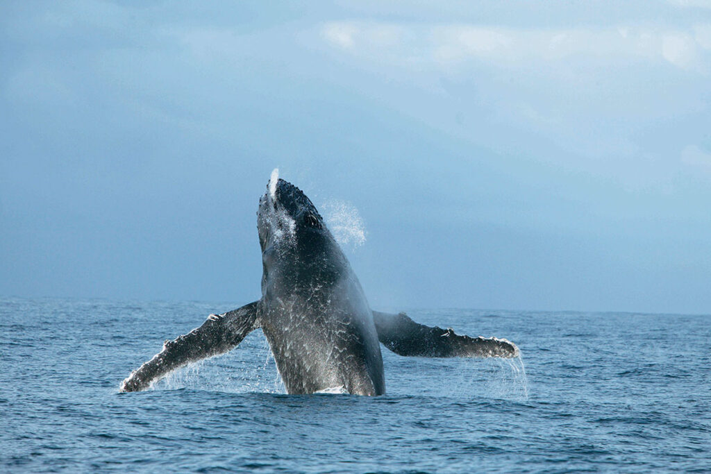 Mayumba National Park