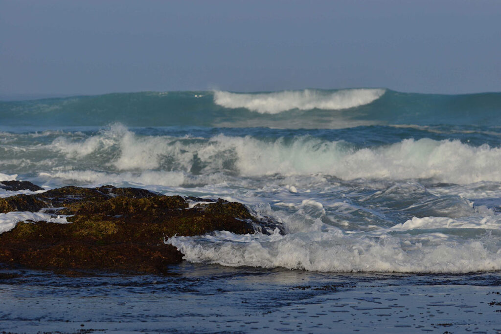 Merdja Zerga Biological Reserve