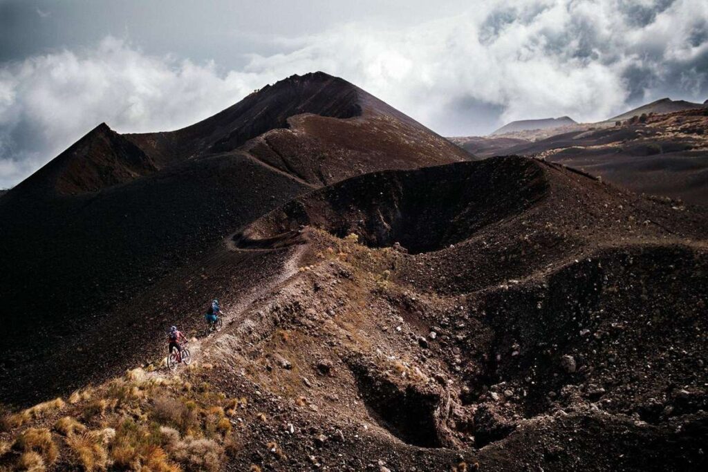 Mount Cameroon National Park