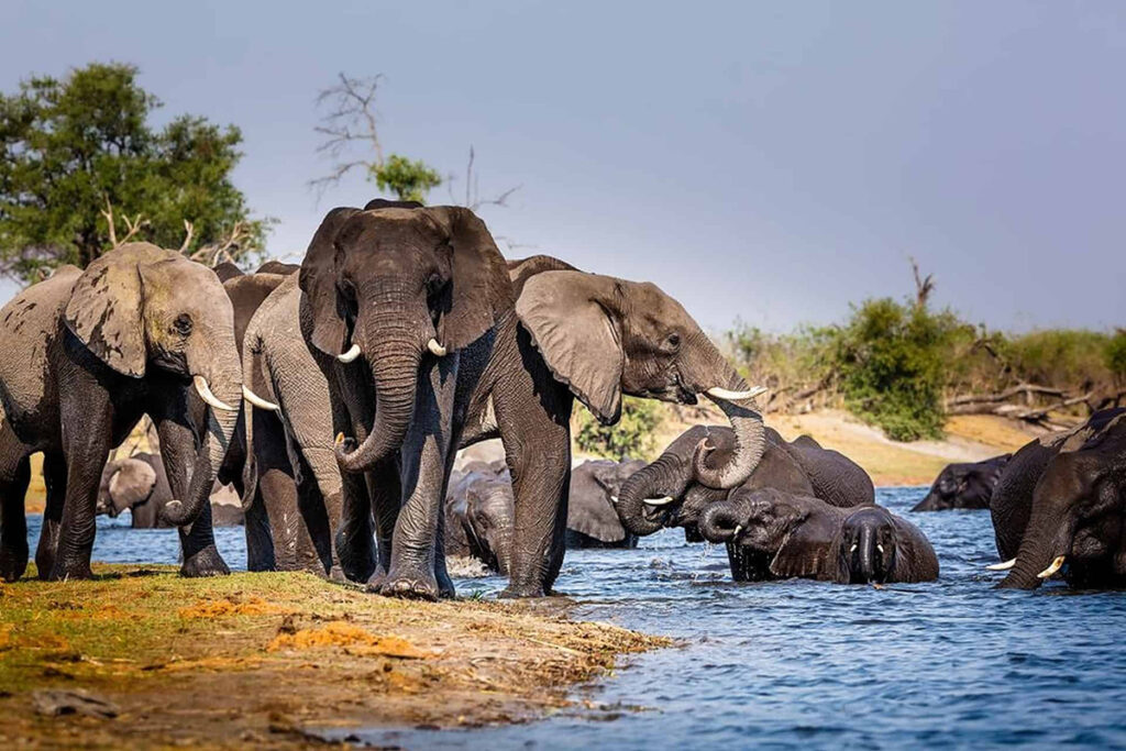 Mudumu National Park