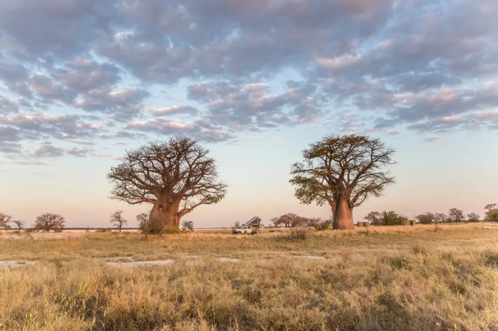 Nxai Pan National Park