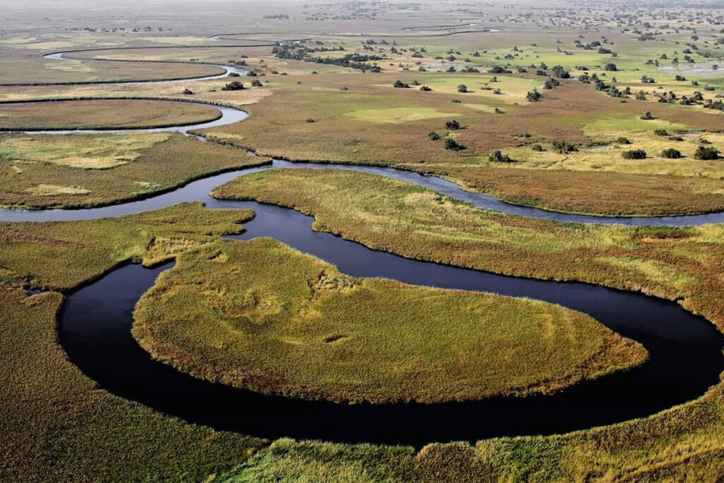 Okavango Delta