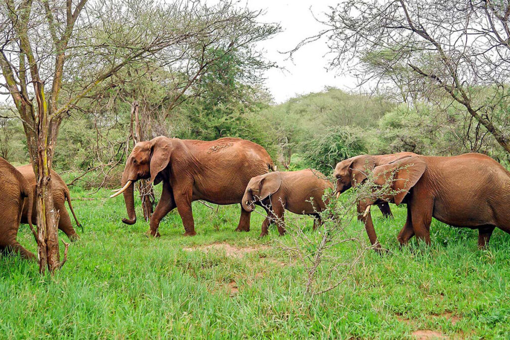 Mwagna National Park