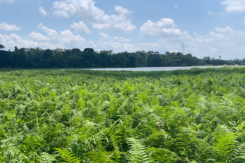 Owabi Wildlife Sanctuary