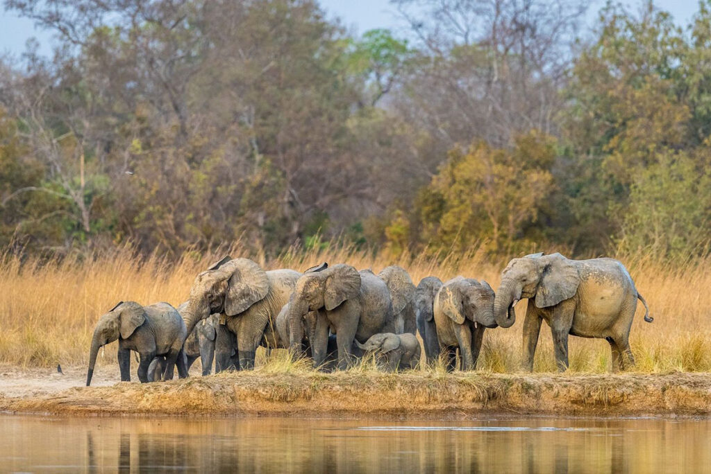 Pendjari National Park