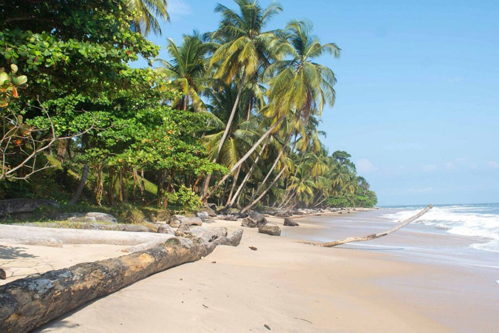 Pongara National Park