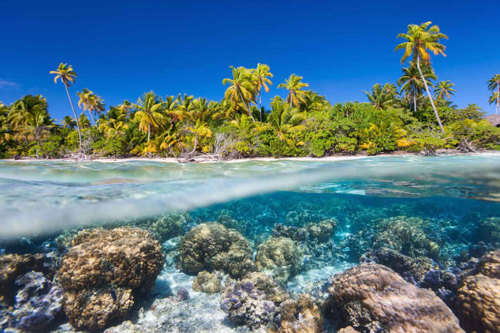 Quirimbas National Park