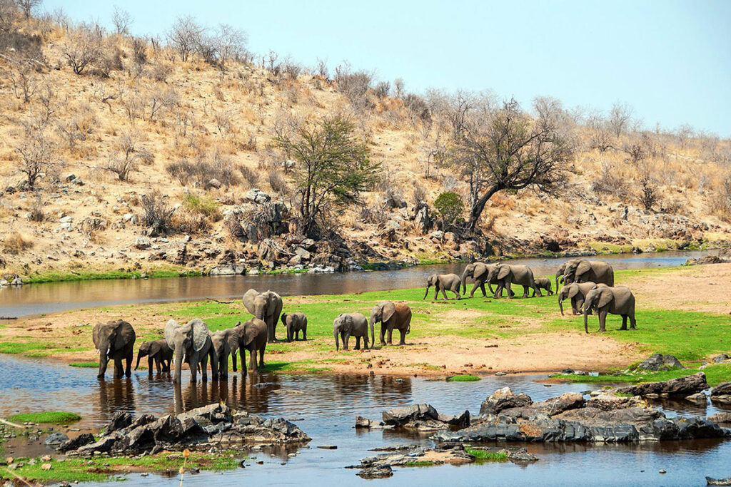 Ruaha National Park