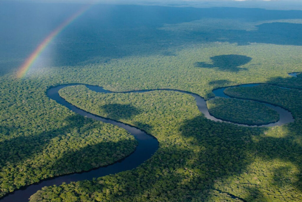 Salonga National Park