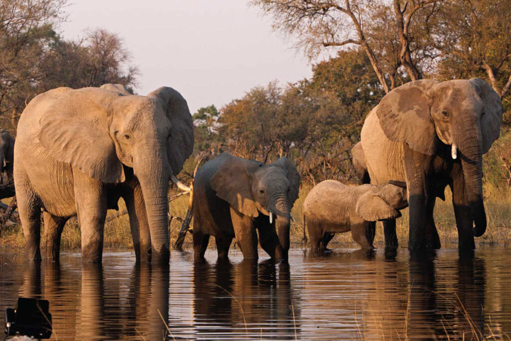Sibiloi National Park