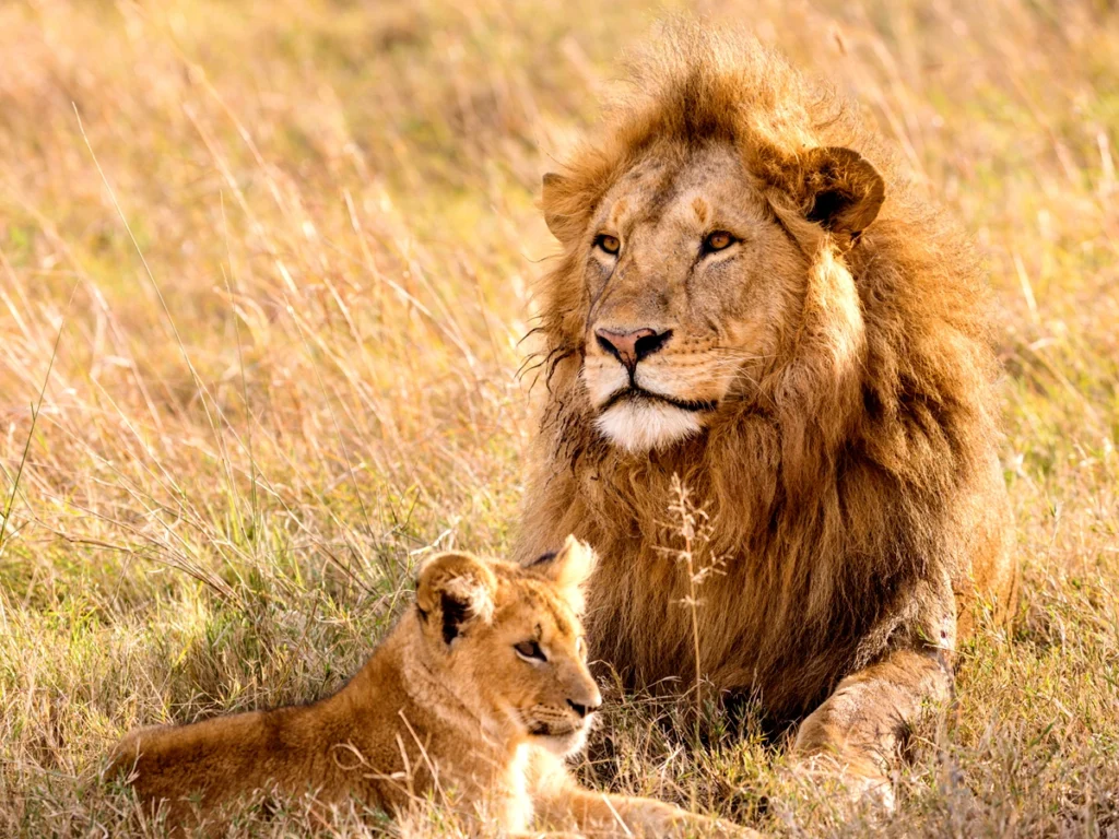 Tarangire National Park