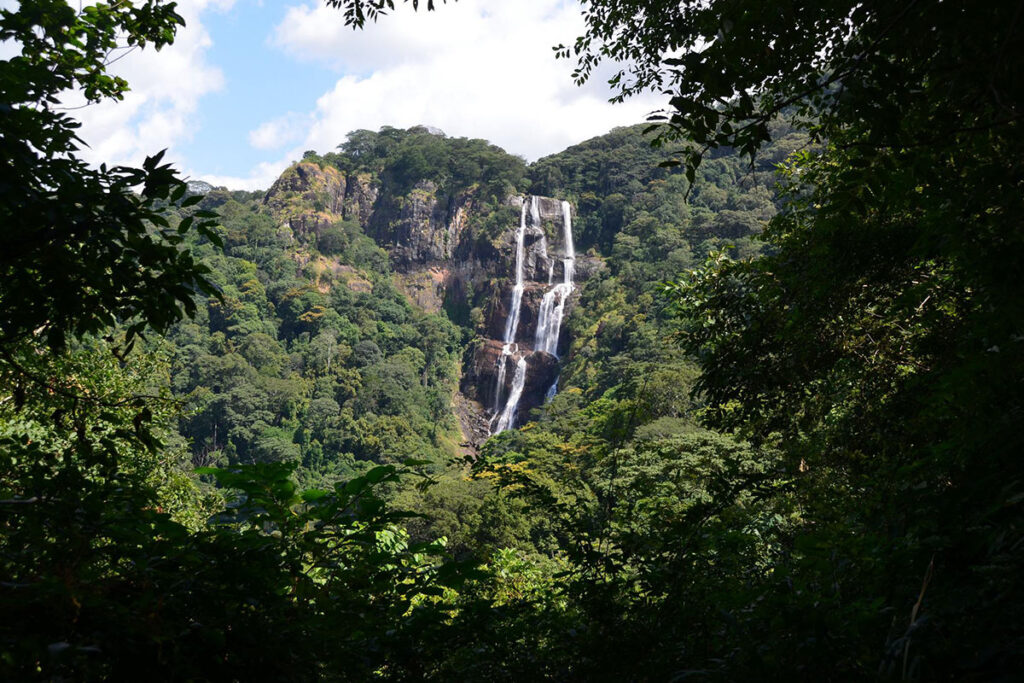 Udzungwa Mountains National Park