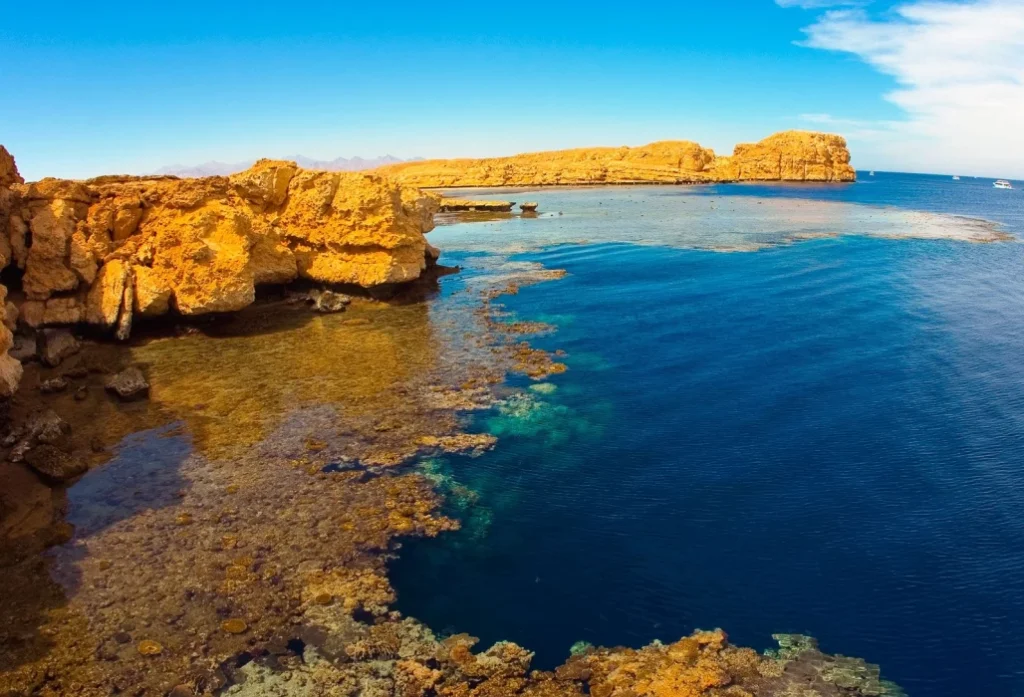 Wadi El Gemal National Park