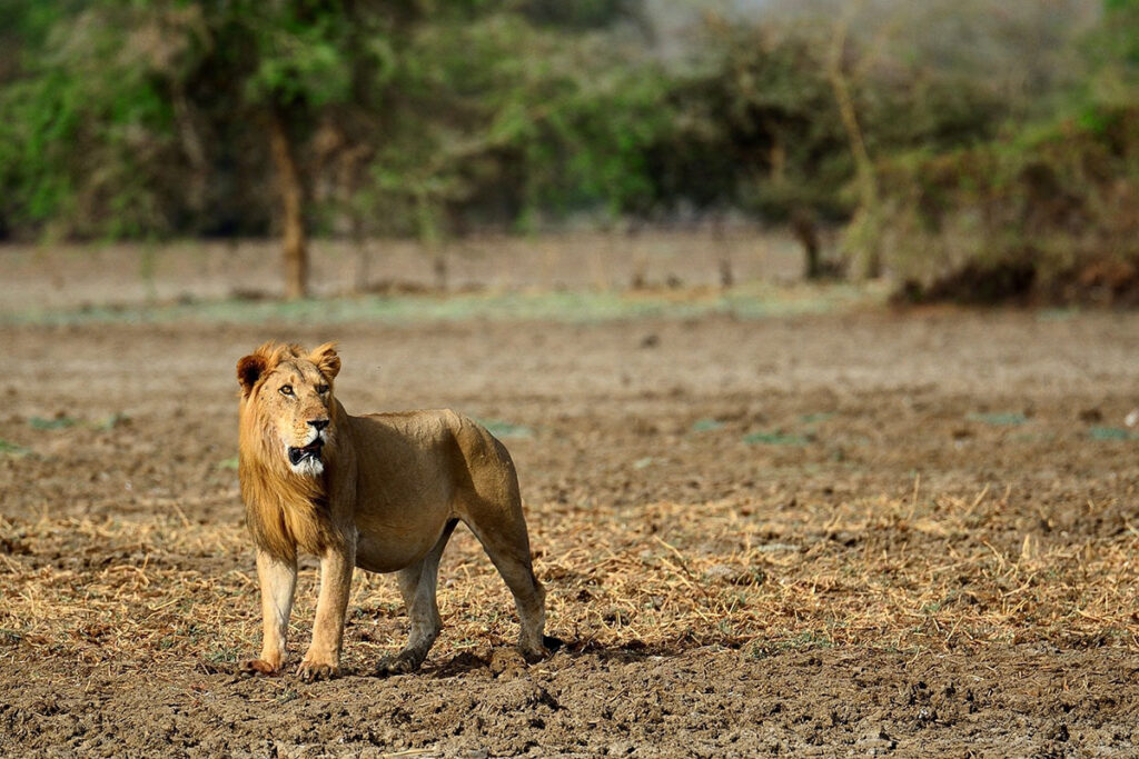 Zakouma National Park