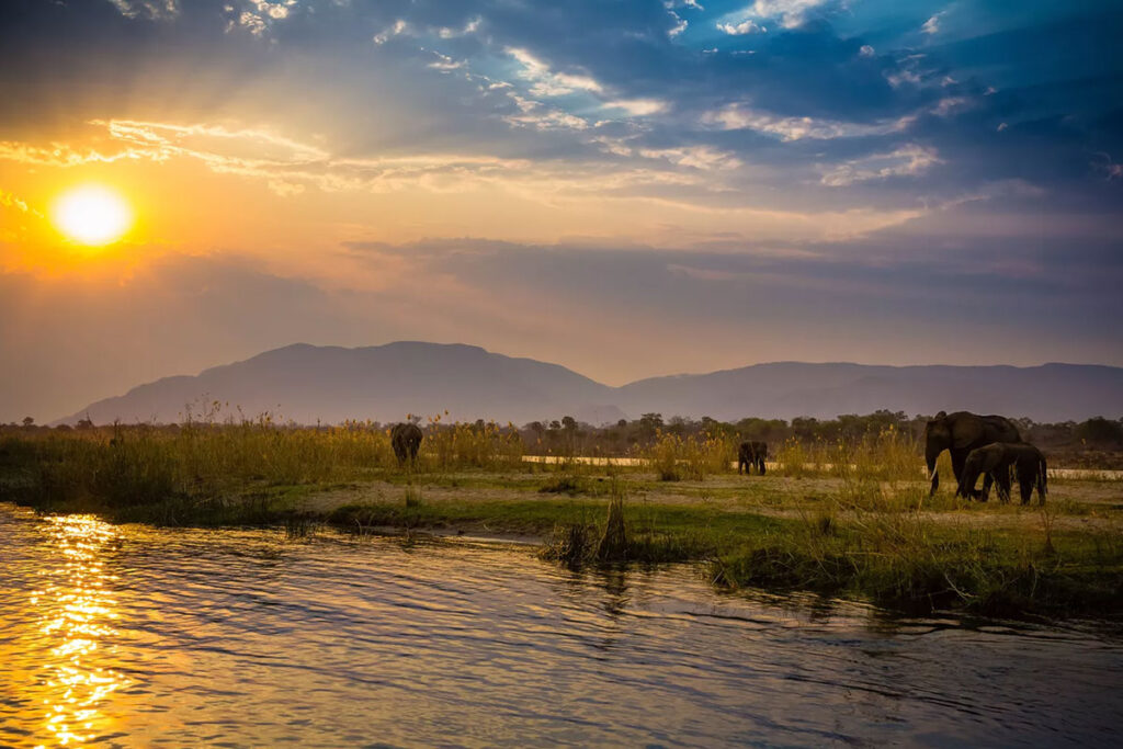 Zambezi National Park